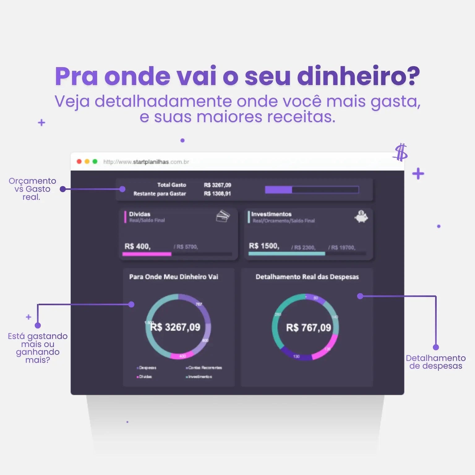 para onde está indo meu dinheiro